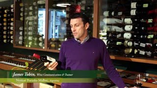 Norton Porteno Malbec Wine Review [upl. by Sherer75]