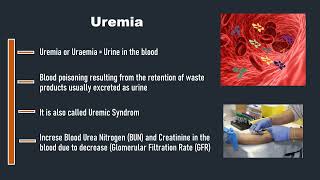 Uremia [upl. by Heinrike317]