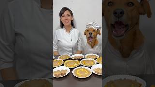 Cocinando comida premium para perritos en situación de calle perritos adoptanocompres [upl. by Si]