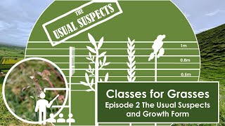 Classes for Grasses  Episode 2 The Usual Suspects [upl. by Urien]