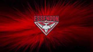 AFL Theme Song Essendon Bombers Football Club [upl. by Paucker115]