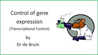 611 Chapter 19  Control of gene expression  Transcriptional control [upl. by Enigroeg]