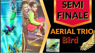 Semifinale dance performance  adiyea kadal song dancevsdance tanishagurunath semifinaladance [upl. by Cattima270]