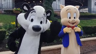 Pepe Le Pew amp Porky Pig Meet amp Greet at Six Flags New England [upl. by Amitak]