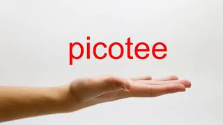 How to Pronounce picotee  American English [upl. by Fredie764]