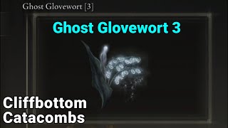 Ghost Glovewort 3 Location  Cliffbottom Catacombs  Elden Ring [upl. by Ecirtap843]