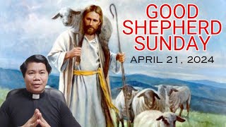 HOMILY for the 4th Sunday of Easter Year B April 21 2024 GOOD SHEPHERD SUNDAY [upl. by Viviyan]