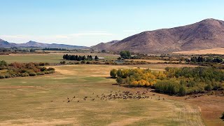 Home on the Range  Silver Creek Preserve Idaho [upl. by Gwenneth709]