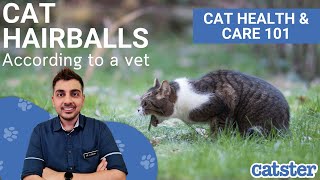 Cat Hairballs Everything You Must Know [upl. by Madelena]