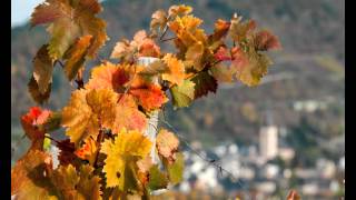 herbstfarbe [upl. by Enilehcim664]