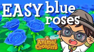 EASIEST BLUE roses using IMPROVED Asteriation method in ACNH [upl. by Arrahs653]