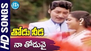 Naa Thoduvai Video Song  Thodu Needa Songs  Sobhan Babu Radhika Saritha  Chakravarthy [upl. by Itra92]