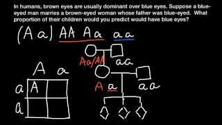 Eye color genetic problem and solution [upl. by Reywas967]