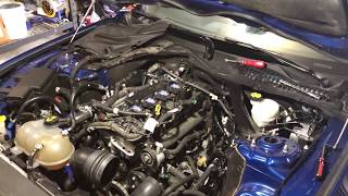 2017 Ecoboost Mustang Carbon Accumulation on Valves  78500 Miles  Misfire  Misfires [upl. by Adnoraj]