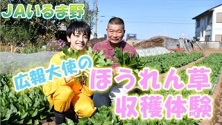 ☆ＪＡいるま野広報大使☆【新原泰佑その９】 [upl. by Bohi]