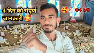 first vlog video in polti from 🥰 polti murgi farm business 😱 ॥ polti from ॥ polti murgi farm [upl. by Infeld]