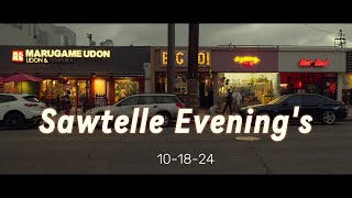 145 minutes of Sawtelle [upl. by Namzzaj]