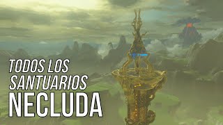 Santuarios de la región de la Torre de Necluda  The Legend of Zelda Breath of the Wild [upl. by Ott584]