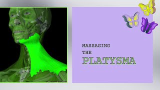 Massaging the Platysma [upl. by Ailb]