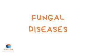 GCSE Biology  Infection amp Response  7 Fungal Diseases [upl. by Arihas]