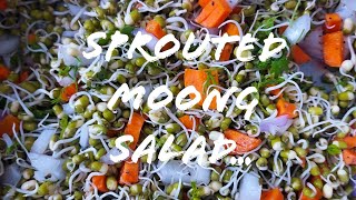 Sprouted Moong Healthy Salad [upl. by Aiceled347]