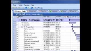 How to Read a Gantt Chart [upl. by Bolton349]