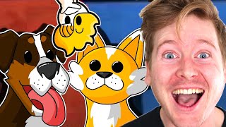 Haminations Dogs VS Cats Reaction [upl. by Eet]