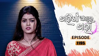 Tarini Akhira Tara  Full Ep 1195  19th Jan 2022  Odia Serial – TarangTV [upl. by Buffy]