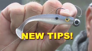 Master Fall Bass Fishing with Soft Swimbaits Expert Tips  Bass Fishing [upl. by Barina819]