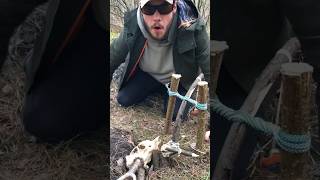 Easy trap outdoors trap survival bushcraft [upl. by Lenora]