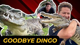 South Africa’s Steve Irwin  Dingo Dinkelman Passes Away from Snake Bite [upl. by Eatnoj]