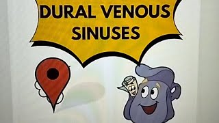 Dural Venous Sinuses made easy [upl. by Hershel]