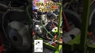 vespa engine on bfa 260CC Cylinder vesparacing 2stroke [upl. by Ennagroeg]