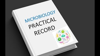 Microbiology Practical Record Laboratory Student college experiments chapters syllabus Parasitology [upl. by Atsedom645]