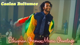 Caalaa bultumee Ethiopian oromo music sirna eebba filmii sibirii irratti JHB Mayfair [upl. by Mann]