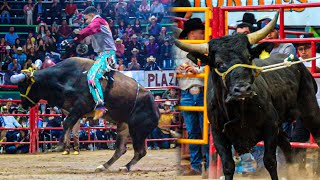 20 TOROS RANCHO EL GUAMUCHIL DE LUIS GARCIA EN EL RELICARIO DE MORELIA [upl. by Rubinstein]