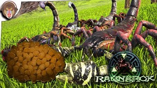 Ark Survival Evolved RAGNAROK  PULMONOSCORPIUS EGG KIBBLE  S7E18 RAGNAROK DLC [upl. by Yddor]