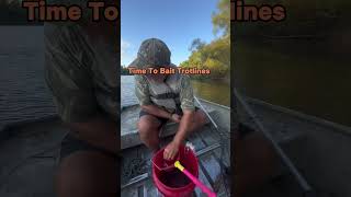 Catching Spot Tail Minnows to Bait Trotline’s fishing catfish fish river fishing [upl. by Rellim]