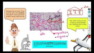 CSEC Biology Basics Part 1 [upl. by Lhary]