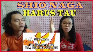 SHIO NAGA HARUS TAU TERNYATA BRGINI KARAKTER DAN KEPRIBADIAN SHIO NAGA [upl. by Leirza]