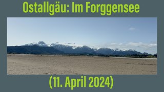 Ostallgäu Im Forggensee 11 April 2024￼ [upl. by Issi]