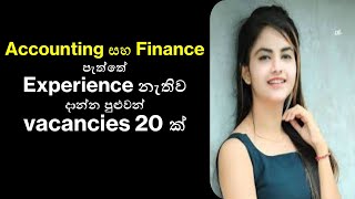 Job Vacancies in Sri Lanka for Accounting and Finance  No Experience Needed July 2024 [upl. by Neetsirhc588]