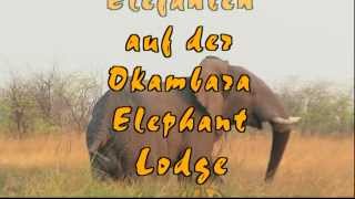 Namibia Okambara Elephant Lodge [upl. by Ailahk]