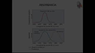 TECNICAS PARA EL ESTUDIO DE LOS ÁCIDOS NUCLEICOS [upl. by Notlrac]