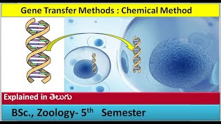 Gene Transfer Methods  Chemical method  HSR Bioinfo [upl. by Clawson]