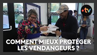 Un nouveau dispositif pour mieux protéger les vendangeurs de Champagne [upl. by Euhsoj916]