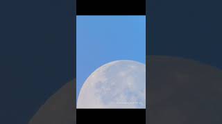 Day time MoonThrough my Telescope 🔭 telescope astrophotography nasa physics isro [upl. by Iliram]