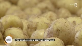 Primeurs  les prix sontils justifiés [upl. by Nickolai381]