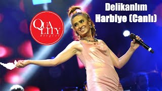 Yıldız Tilbe  Delikanlım Harbiye Canlı Performans [upl. by Nonohcle802]