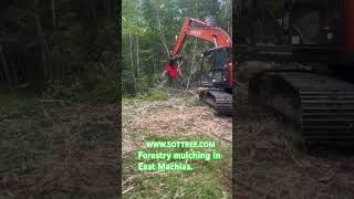 Forestry mulching East Machias Maine forestry mulching treecare treeremoval wood [upl. by Nilad]